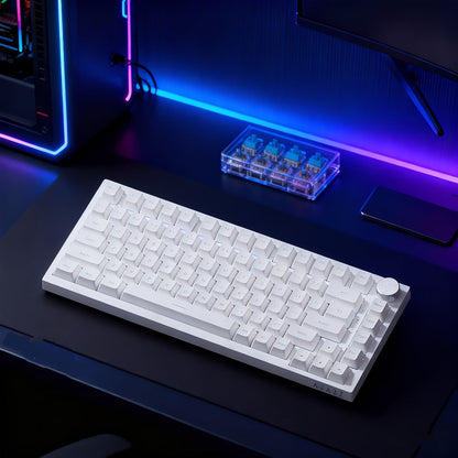 Hot Swap Gasket Mechanical Keyboard AJAZZ AK820 75%, Wireless 2.4GHz & Wired, Volume Knob, South-Facing RGB