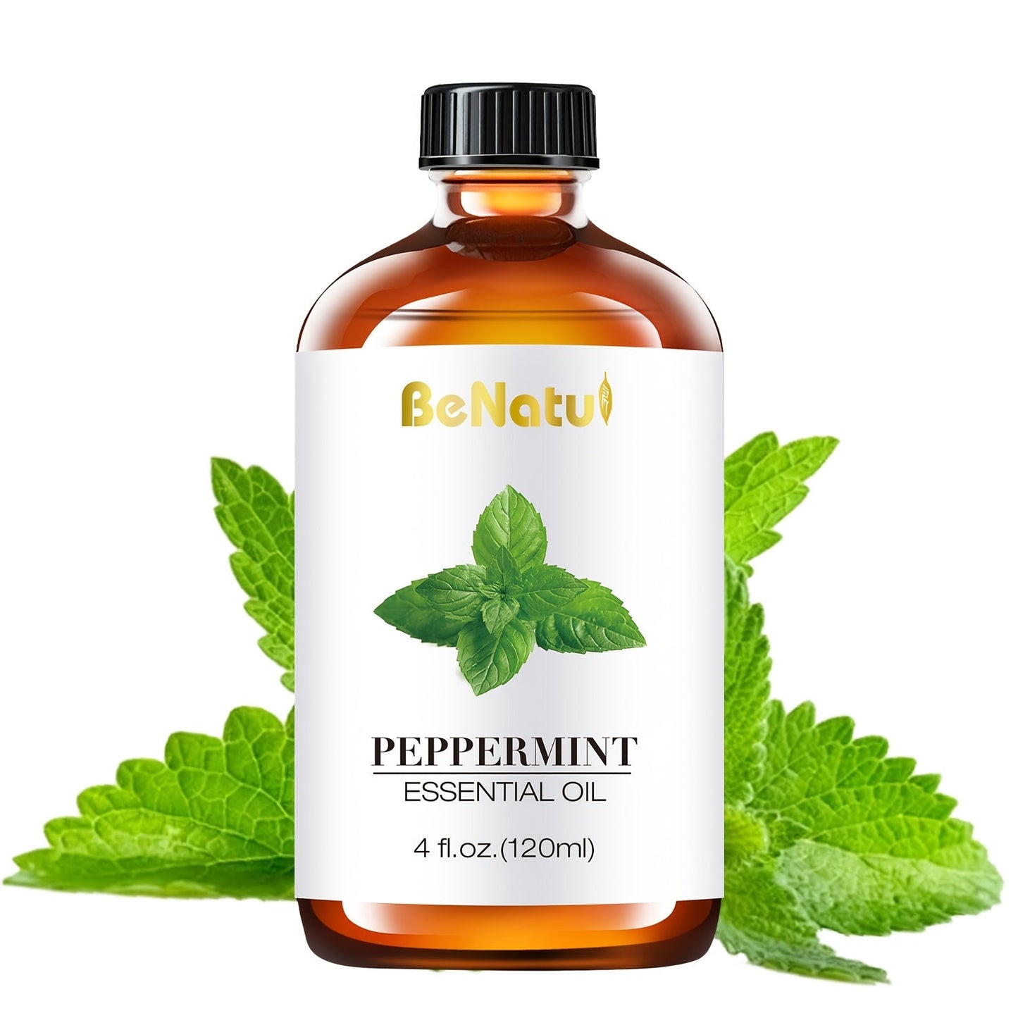 Large 120ml Aromatic Oil Bottles in Lavender, Peppermint, Eucalyptus and Seven More Options