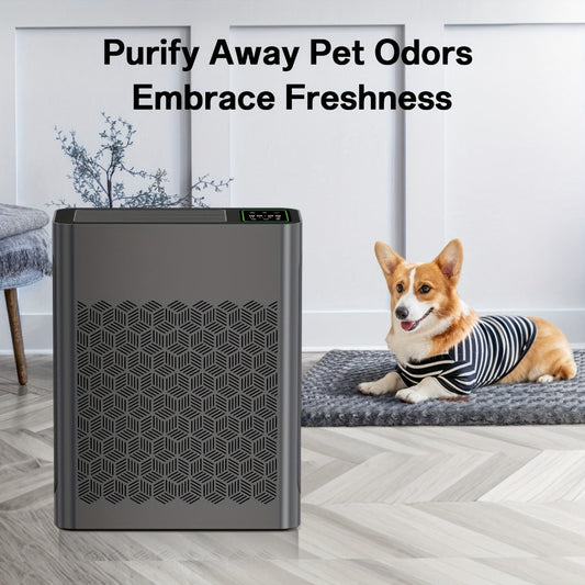 Air Purifier with HEPA Filter, PM2.5 Display, Air Sensor, Auto Mode, Timer and Two Color Options
