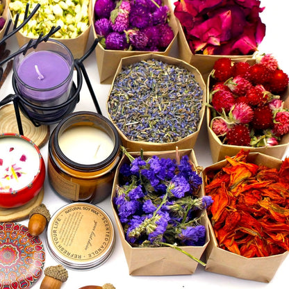 Dried Flowers Craft Set 24 Packs Natural Dried Botanicals for Resin Jewelry Making DIY Candle for Bath Time, Home Spa and Personal Care
