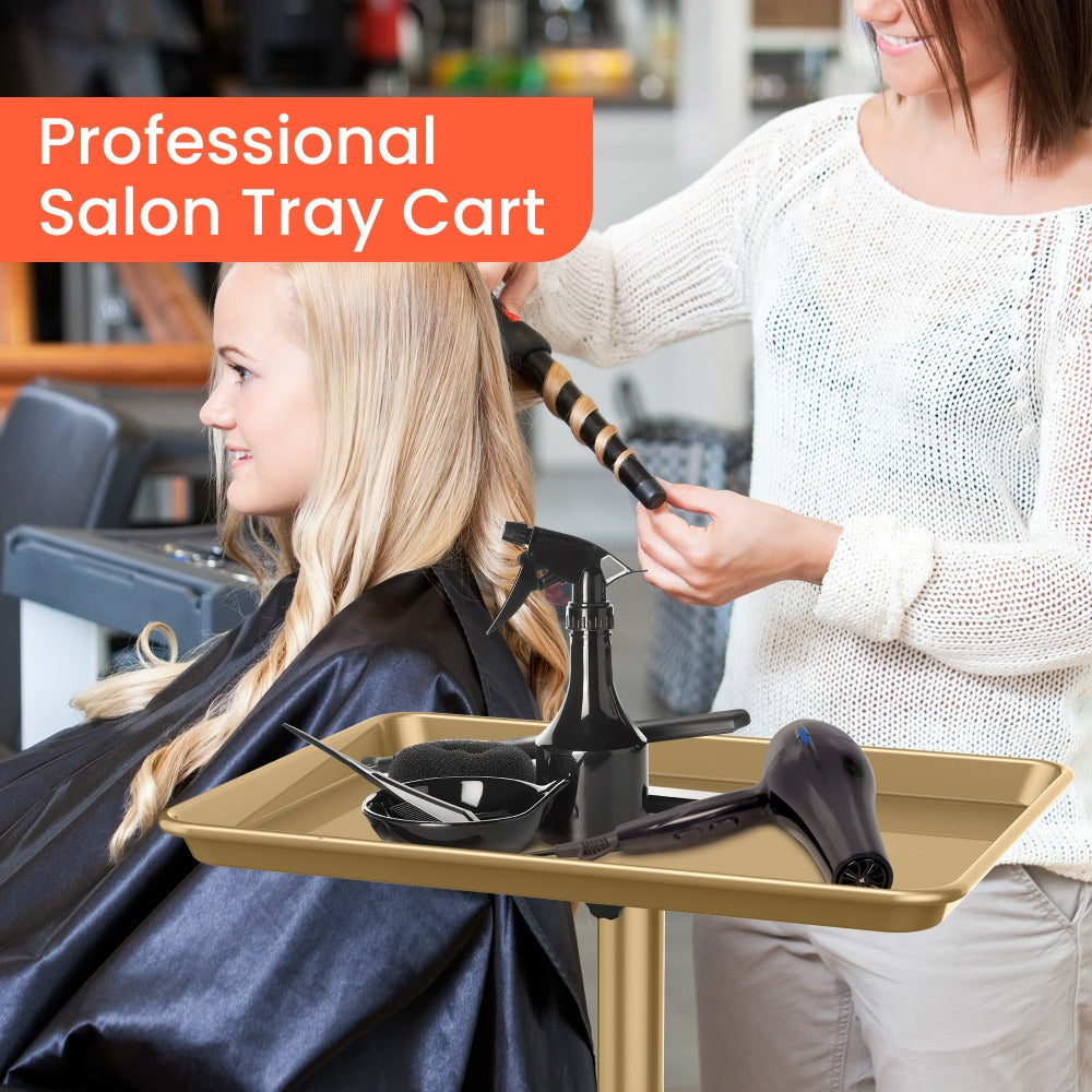 Rolling Salon Tray Cart on Wheels Adjustable Height 17.9x12.8 Inch Mobile Stylist Tray Table for Spa Tattoo Studio Blowdry Bar Aesthetic