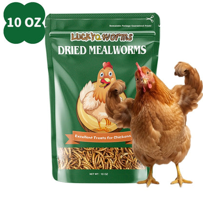 Dried Mealworms High Protein Animal Feed – Natural Insect Treats for Chickens Wild Birds Hens Ducks Turtles Fish Lizards Hamsters