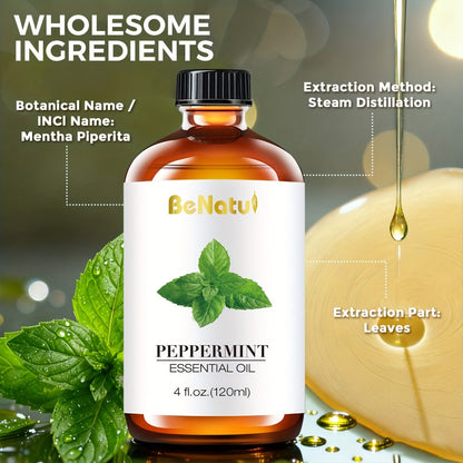 Carrier Oil & Essential Oil 4oz Argan Jojoba Rosehip Vitamin E Rosemary Lemongrass Vanilla for Bath Time, Home Spa and Personal Care