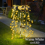 Warm Color