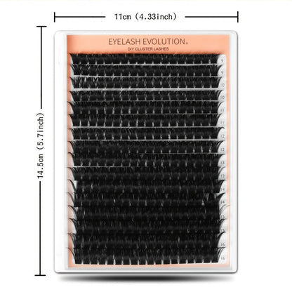 D-Curl Lash Extensions Tray with 272 Pre-Grouped 100D Thick Clusters in Mixed 8-16mm Lengths
