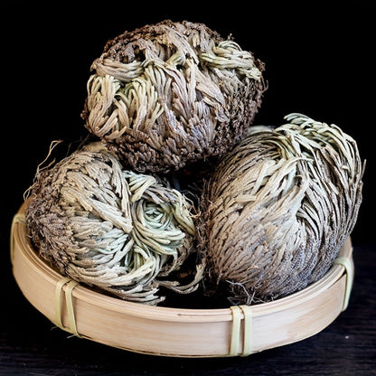 Rose of Jericho 20pcs - Selaginella Lepidophylla Dried Prayer Plants for Spiritual Purification