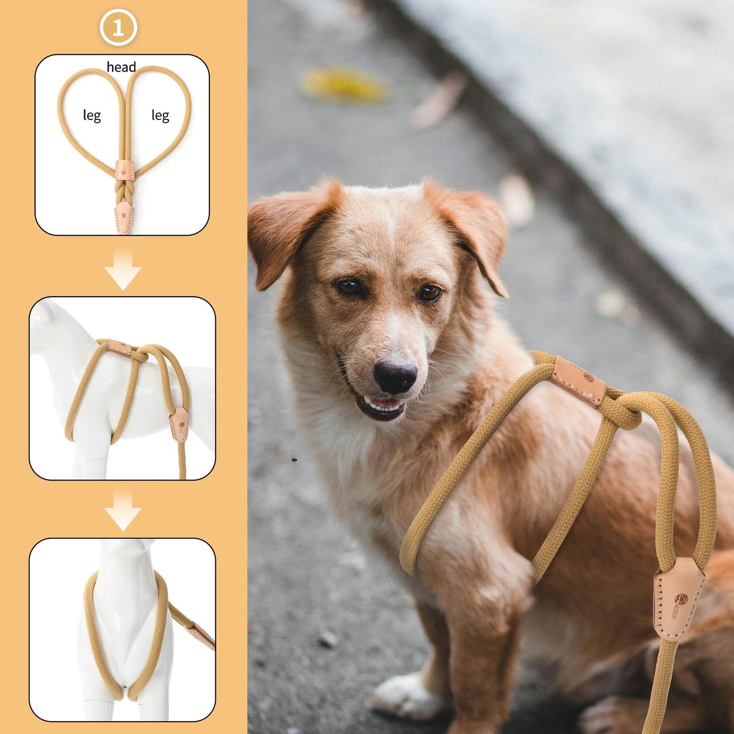 Dog Slip Leash and Harness 2-in-1 Rope Lead – No Pull All-in-One Training Leash for Puppies & Small Dogs, Adjustable Slip Lead with Soft