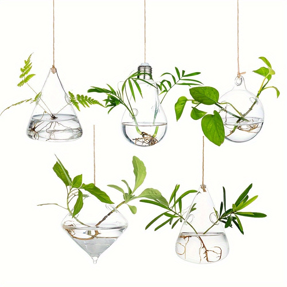 Hanging Planter | Glass Terrarium Hydroponic Air Plant Wall Decor Home