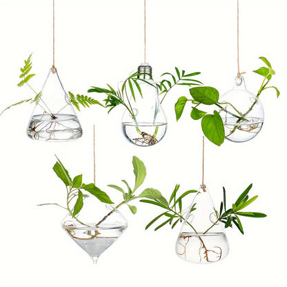 Hanging Planter | Glass Terrarium Hydroponic Air Plant Wall Decor Home