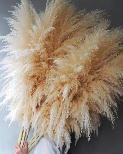 Pampas Grass Decor 10 Stalks 45 Inch Tall Natural Dried Fluffy Plumes for Floor Vase, Living Room