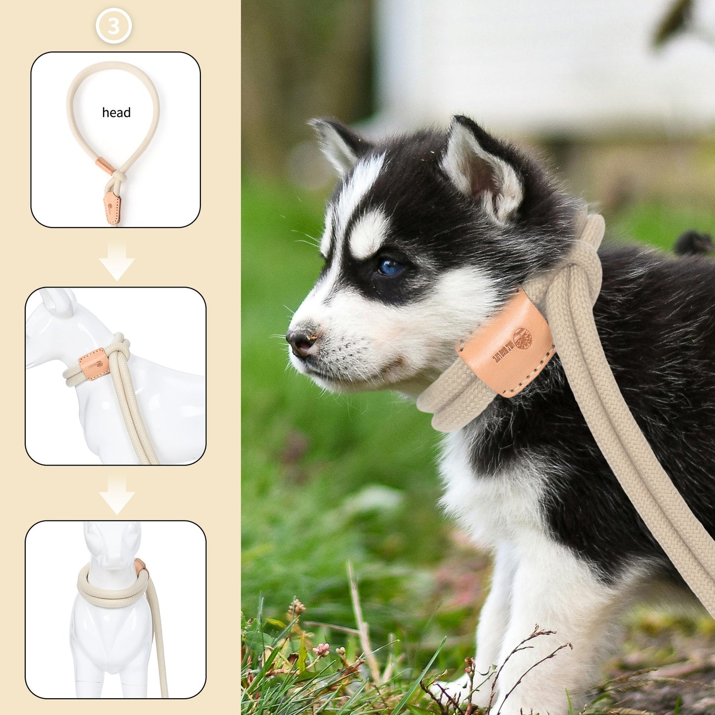 Dog Slip Leash and Harness 2-in-1 Rope Lead – No Pull All-in-One Training Leash for Puppies & Small Dogs, Adjustable Slip Lead with Soft