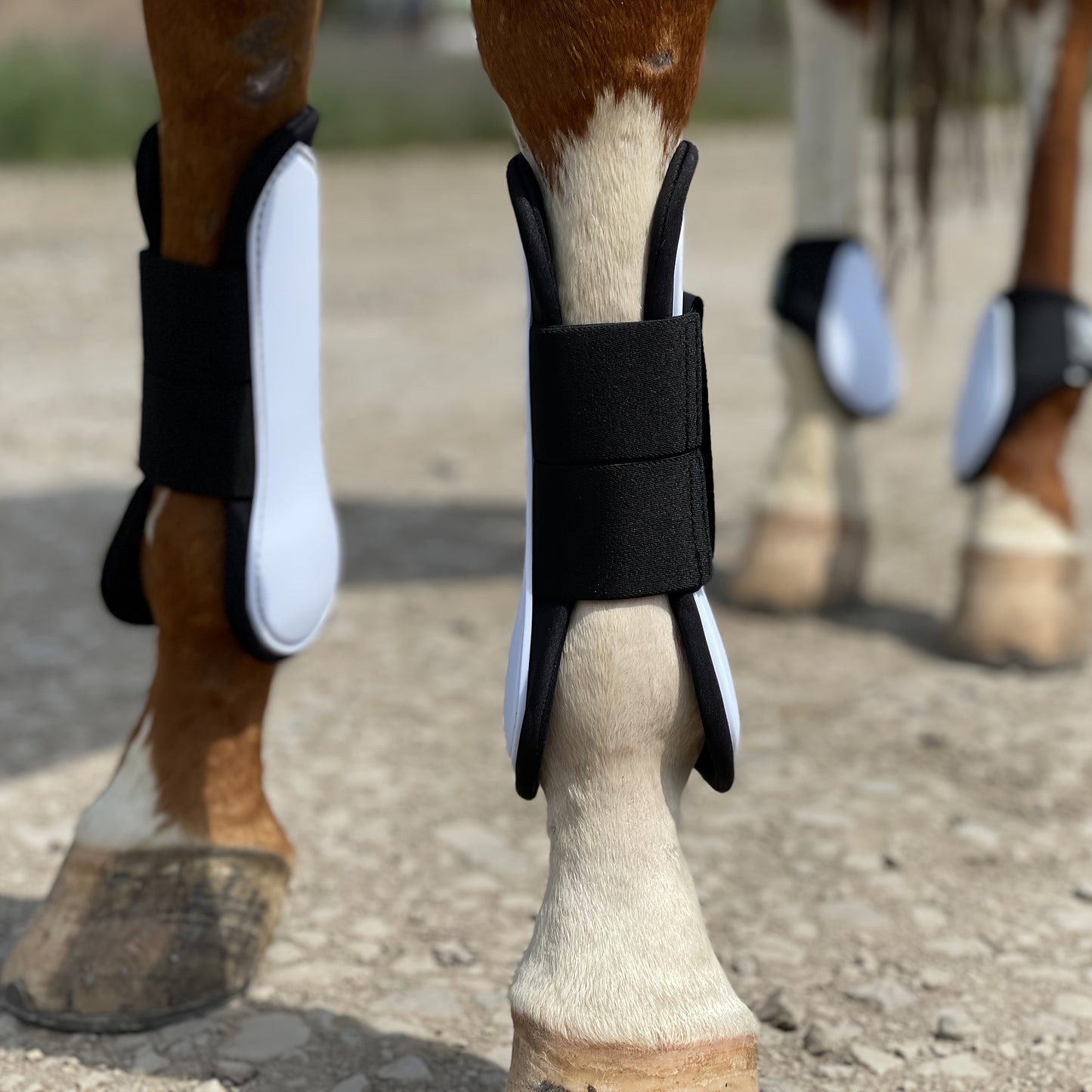 Horse Boots Set of 4 – Open Front Tendon & Fetlock Leg Protection Boots, PU Neoprene Splint Boots for Training, Racing, Riding & Jumping