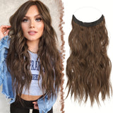Copper Chestnut Brown-01