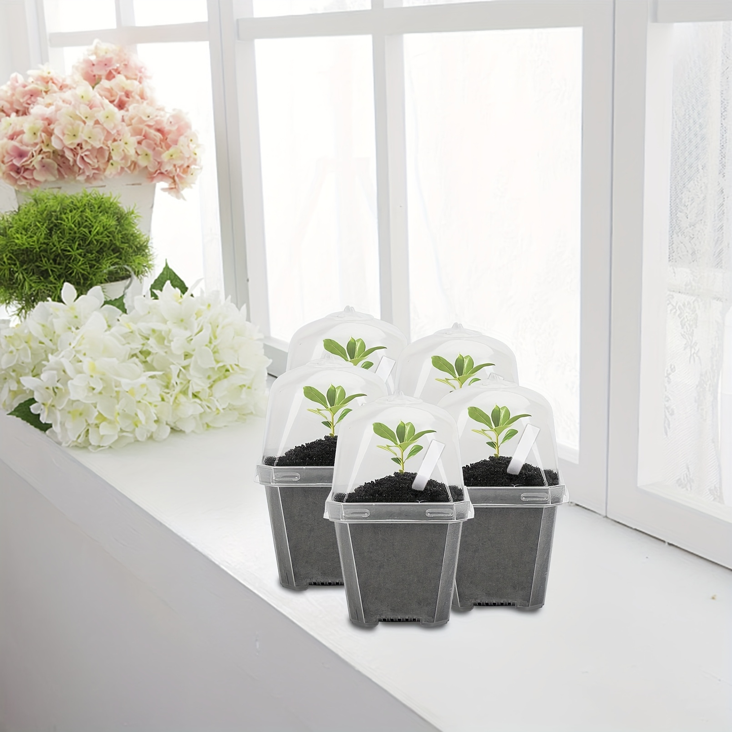 Clear Nursery Pots 3 Inch with Humidity Dome Lids 30pcs | Stackable Seed Starter Pots | Built-In Labels | Succulents Seedlings Cuttings