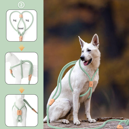 Dog Slip Leash and Harness 2-in-1 Rope Lead – No Pull All-in-One Training Leash for Puppies & Small Dogs, Adjustable Slip Lead with Soft