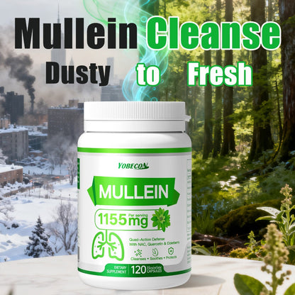 Mullein Lung Cleanse Capsules with NAC 45000mg – Mucus Removal, Dry Cough Relief & Respiratory Support Supplement for Women & Men