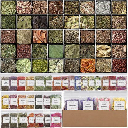 Witchcraft Supplies Herbs Kit 70 Pcs - Dried Flowers & Healing Herbs for Wicca Pagan Rituals, Magic Spell Casting