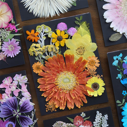 Dried Pressed Flowers for Resin 60pcs Real Pressed Flowers Dry Leaves Bulk Natural Herbs Kit for Scrapbooking DIY Art Crafts