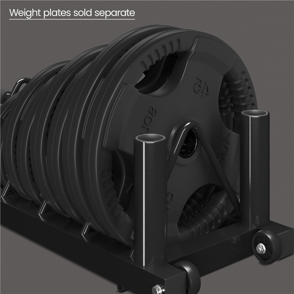 Barbell & Weight Plate Storage Rack with Wheels & Handle – 300 lb Capacity, 2 Barbell Holders, 4 Plate Slots