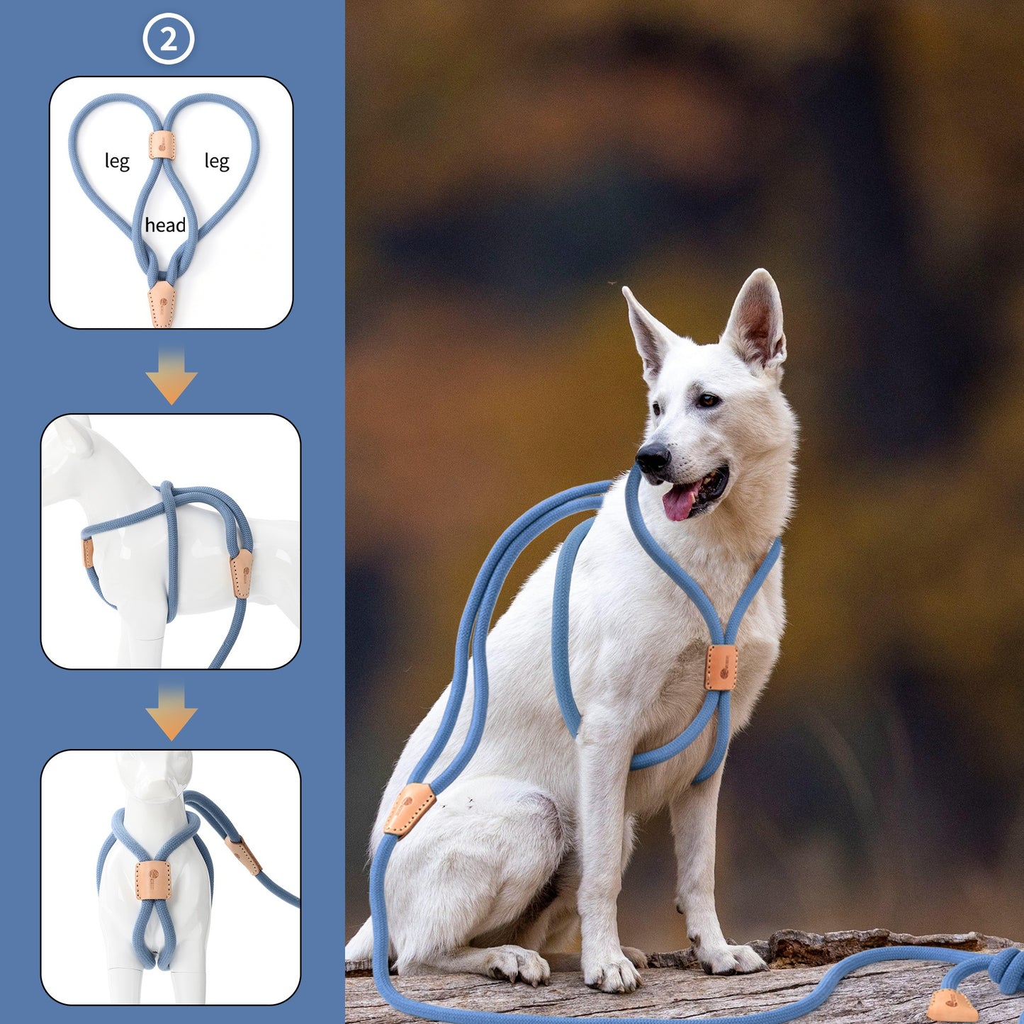 Dog Slip Leash and Harness 2-in-1 Rope Lead – No Pull All-in-One Training Leash for Puppies & Small Dogs, Adjustable Slip Lead with Soft