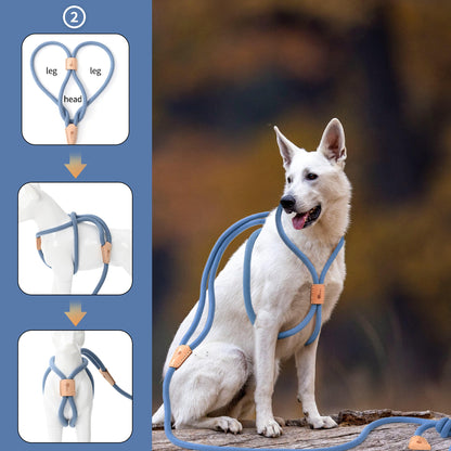 Dog Slip Leash and Harness 2-in-1 Rope Lead – No Pull All-in-One Training Leash for Puppies & Small Dogs, Adjustable Slip Lead with Soft