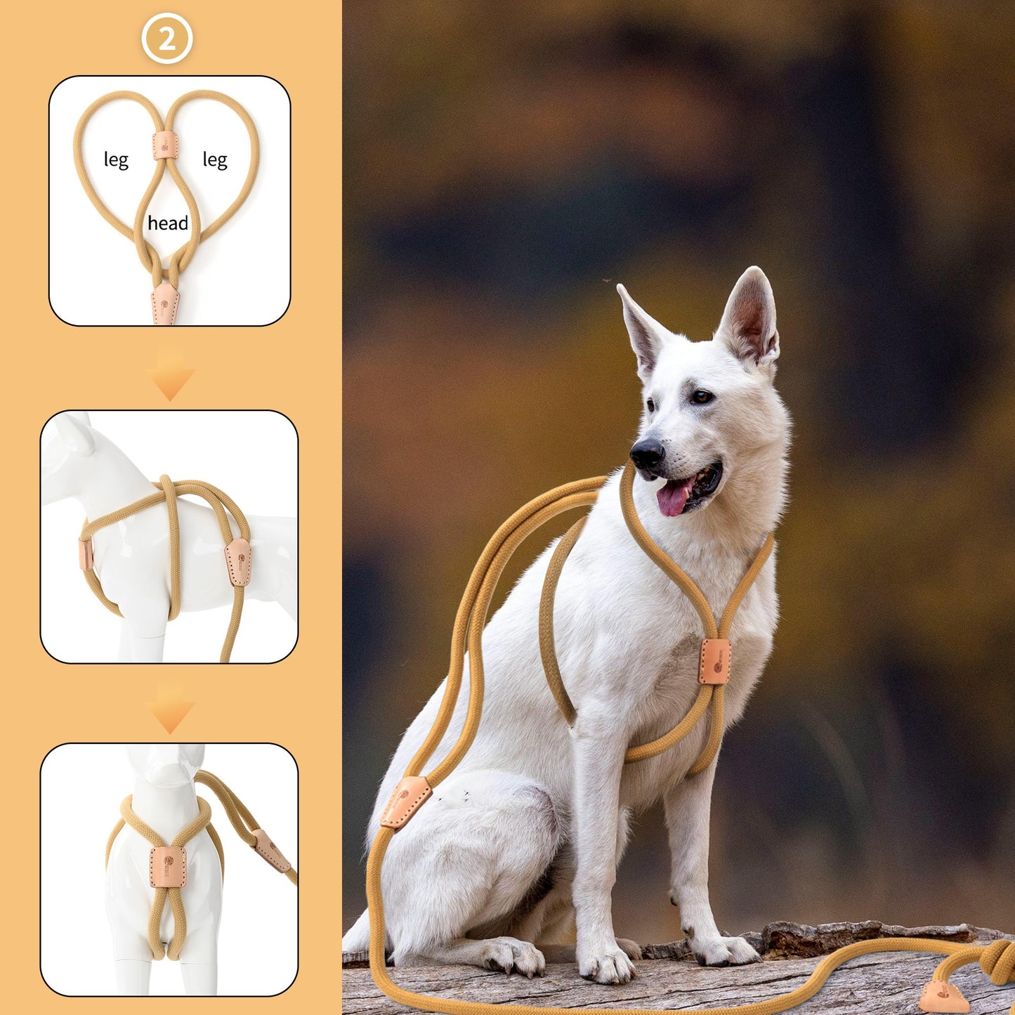 Dog Slip Leash and Harness 2-in-1 Rope Lead – No Pull All-in-One Training Leash for Puppies & Small Dogs, Adjustable Slip Lead with Soft