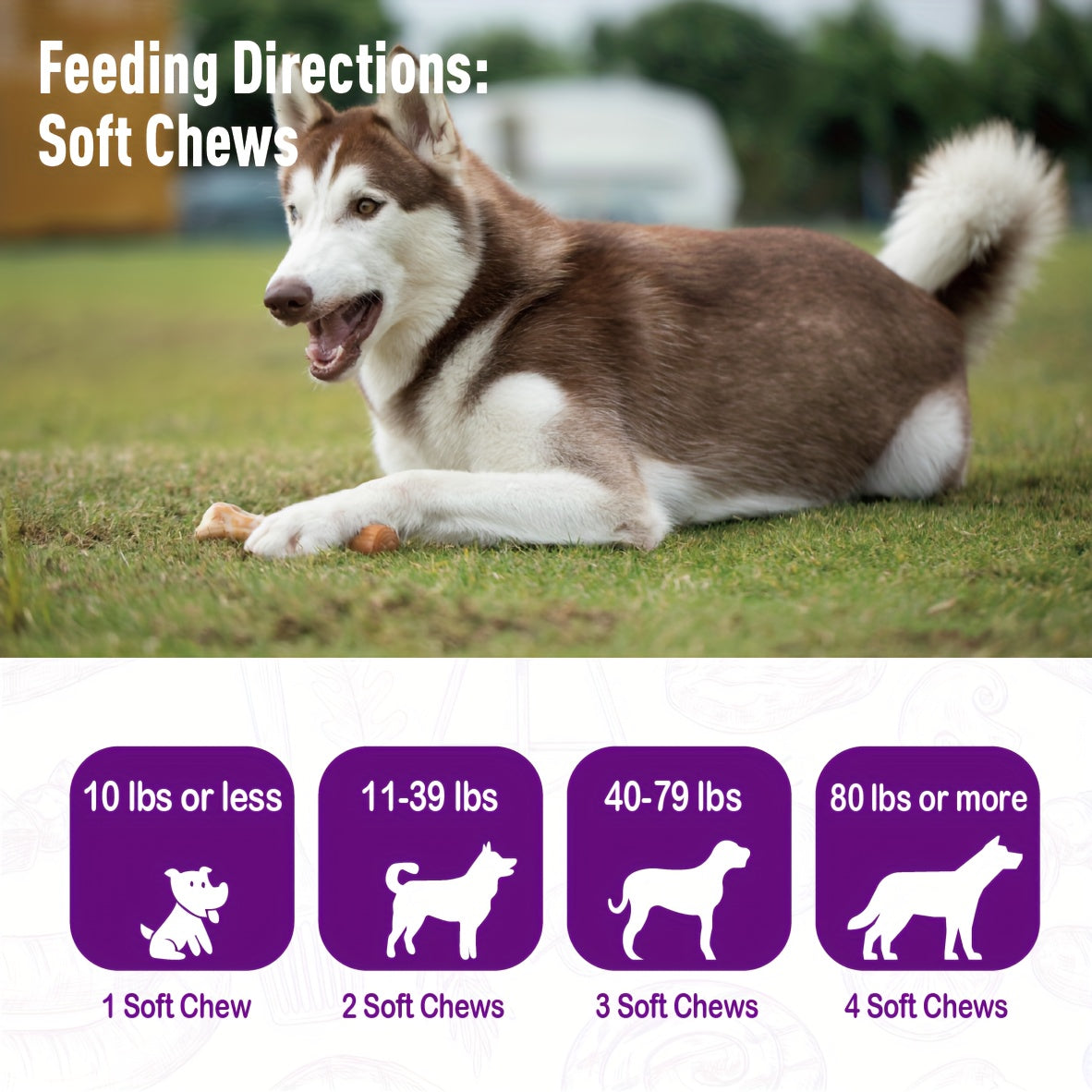 Dog Probiotic & Digestive Enzyme Chews with Prebiotics – Gut Health, Skin Sensitivity Support & Digestive Balance Soft Chew Supplement