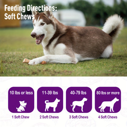 Dog Probiotic & Digestive Enzyme Chews with Prebiotics – Gut Health, Skin Sensitivity Support & Digestive Balance Soft Chew Supplement