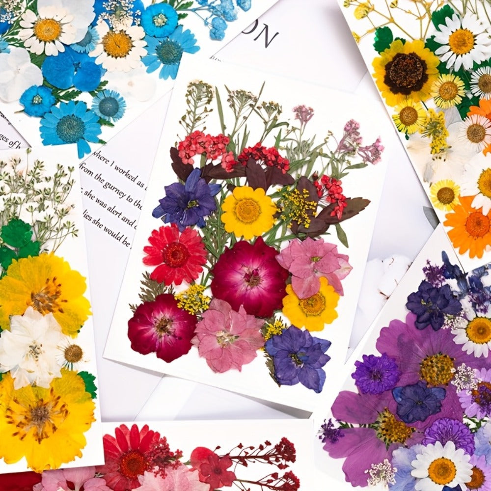 Dried Pressed Flowers Kit 500pcs – Natural Real Flower Petals & Leaves for Resin Art, Nail Art, Jewelry Making, Scrapbooking