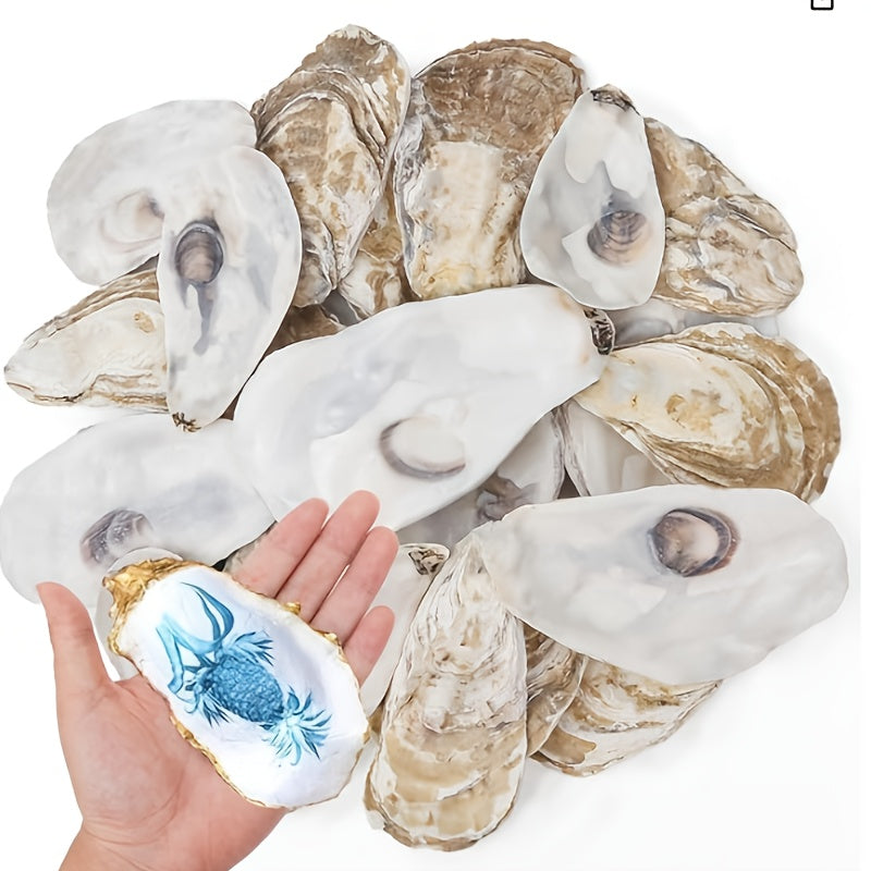 Natural Flat Oyster Shells for Crafts, 17pcs 3-5in Disk Shaped Sea Shells, Vase Filler, DIY Arts & Crafts