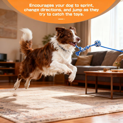 Dog Toy Telescopic Aluminum Flirt Pole with Reinforced Nylon Rope and Three Detachable Interactive Toys