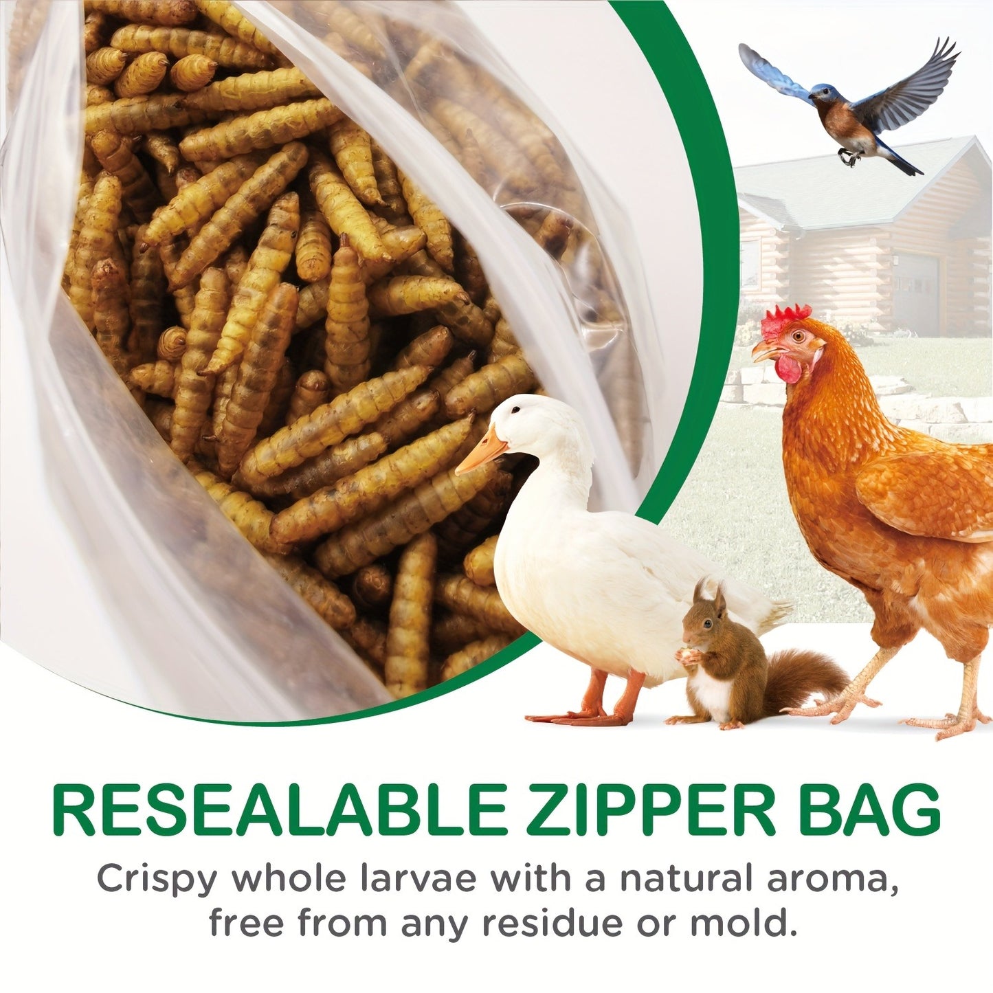 Non-GMO Dried Black Soldier Fly Larvae 5LB & 10LB – 85X More Calcium Than Mealworms, High Protein BSFL Treats for Chickens, Ducks