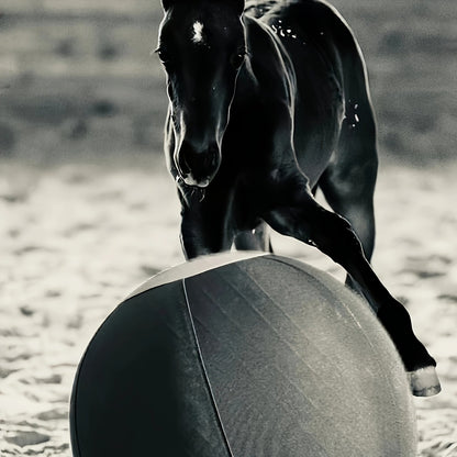 Horse Training Ball 21.7" Anti-Burst Silicone Grazing Ball with Cover & Hanging Belt for Horses Goats Dogs
