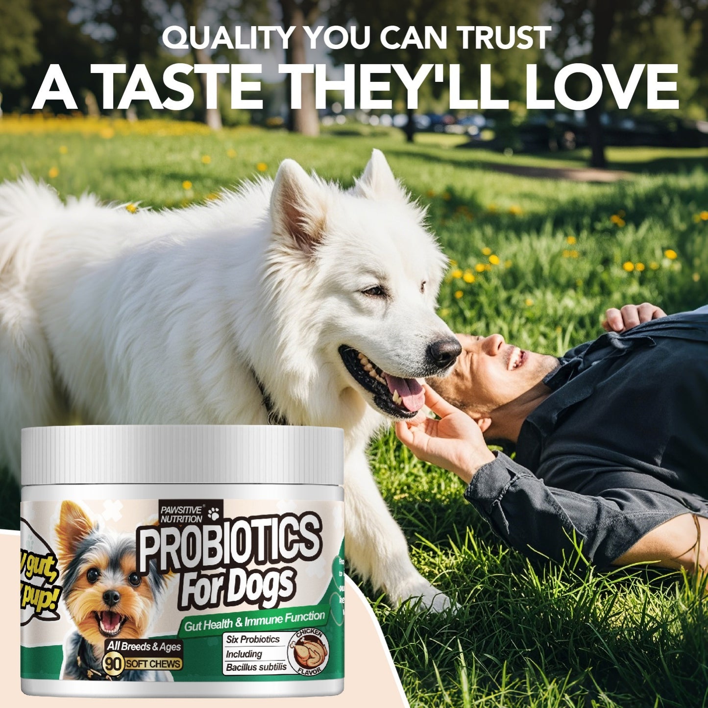Dog Probiotic Chews for Digestive Health – Chicken Flavor Soft Chews with Probiotics for All Breeds, Supports Gut Health