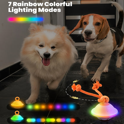 Automatic Rolling Dog Ball Toy with Rope – Motion-Activated Wicked Ball with Voice Recording, Interactive Self-Moving Stimulation Toy