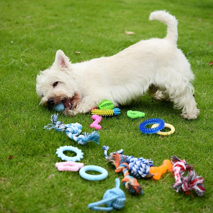 Puppy Teething Chew Toys Pink Bundle 5 or 8 Pack Soft Dog Toothbrush Toy & Interactive Chew Balls for Small Dogs