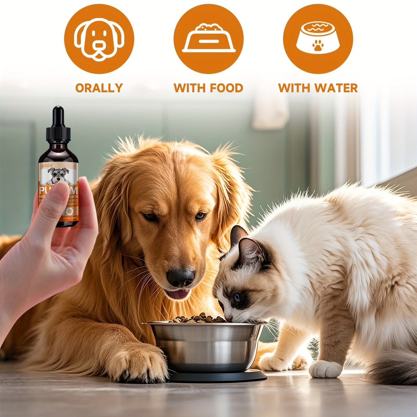 Pet Gut Wellness Drops with Black Walnut & Pumpkin Seed – Digestive Supplement for Dogs & Cats, Flora Balance