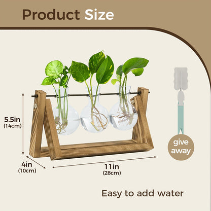 Glass Terrarium Heart Shaped Hydroponic Vase with Wooden Stand – Elegant Plant Propagation Station for Home Decor