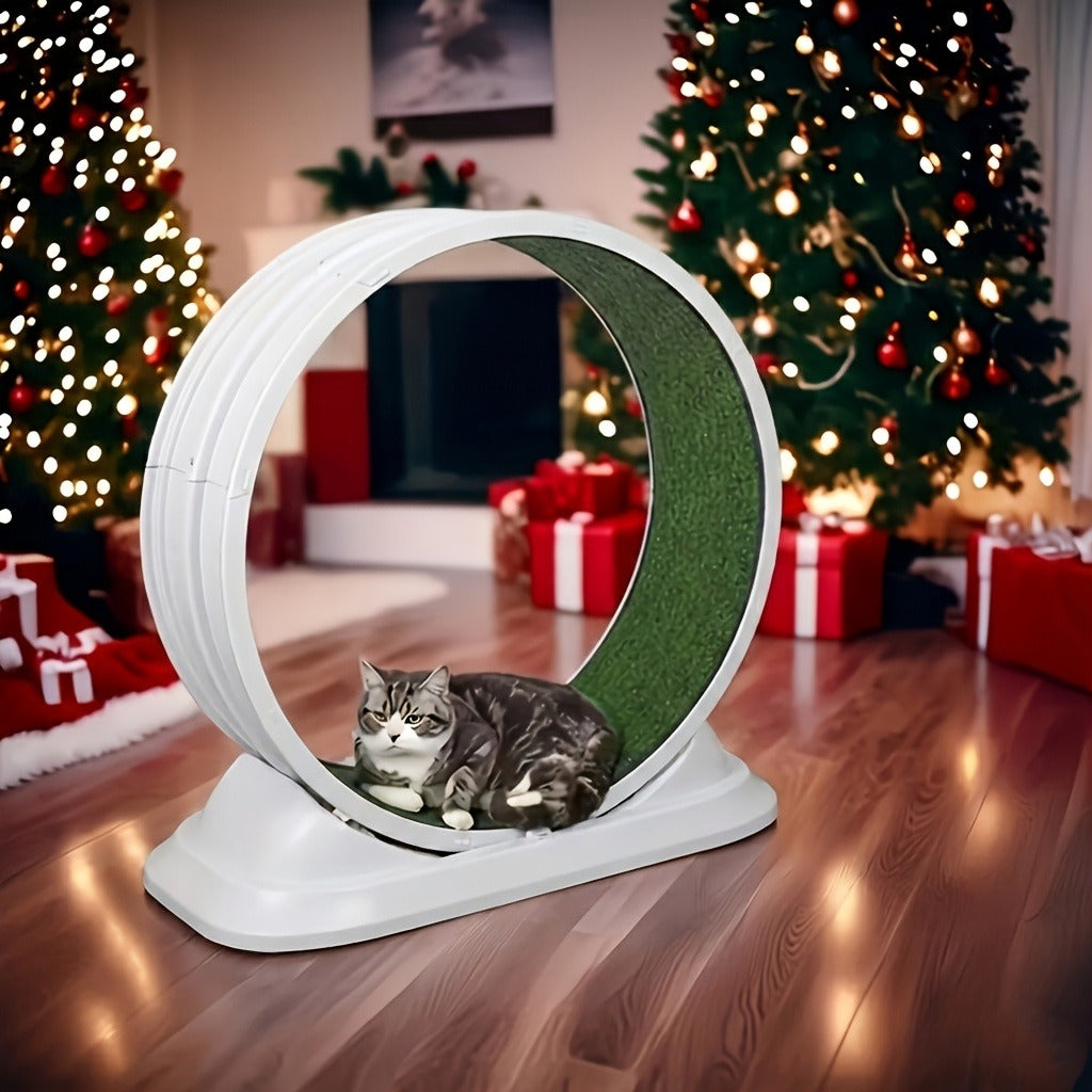 Cat Treadmill Indoor Exercise Wheel Durable Plastic Running Wheel for Indoor Cats All Breeds No Battery Needed Silent Spinner Cat Fitness