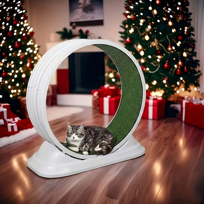Cat Treadmill Indoor Exercise Wheel Durable Plastic Running Wheel for Indoor Cats All Breeds No Battery Needed Silent Spinner Cat Fitness