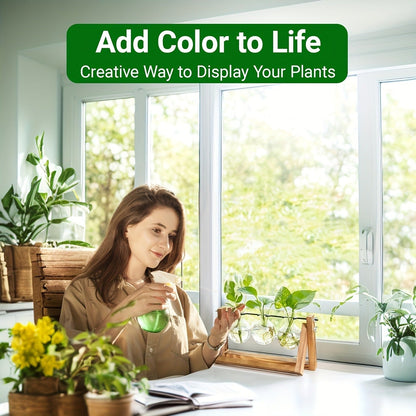 Propagation Station 3 Bulb Glass Vase with Wooden Stand – Hydroponic Plant Terrarium for Home Office Desk Decor