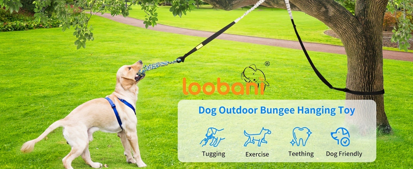 Bungee Dog Tug Toy Outdoor Hanging from Tree Height Adjustable 19.7 Ft Elastic Cord Tether with Chew Rope