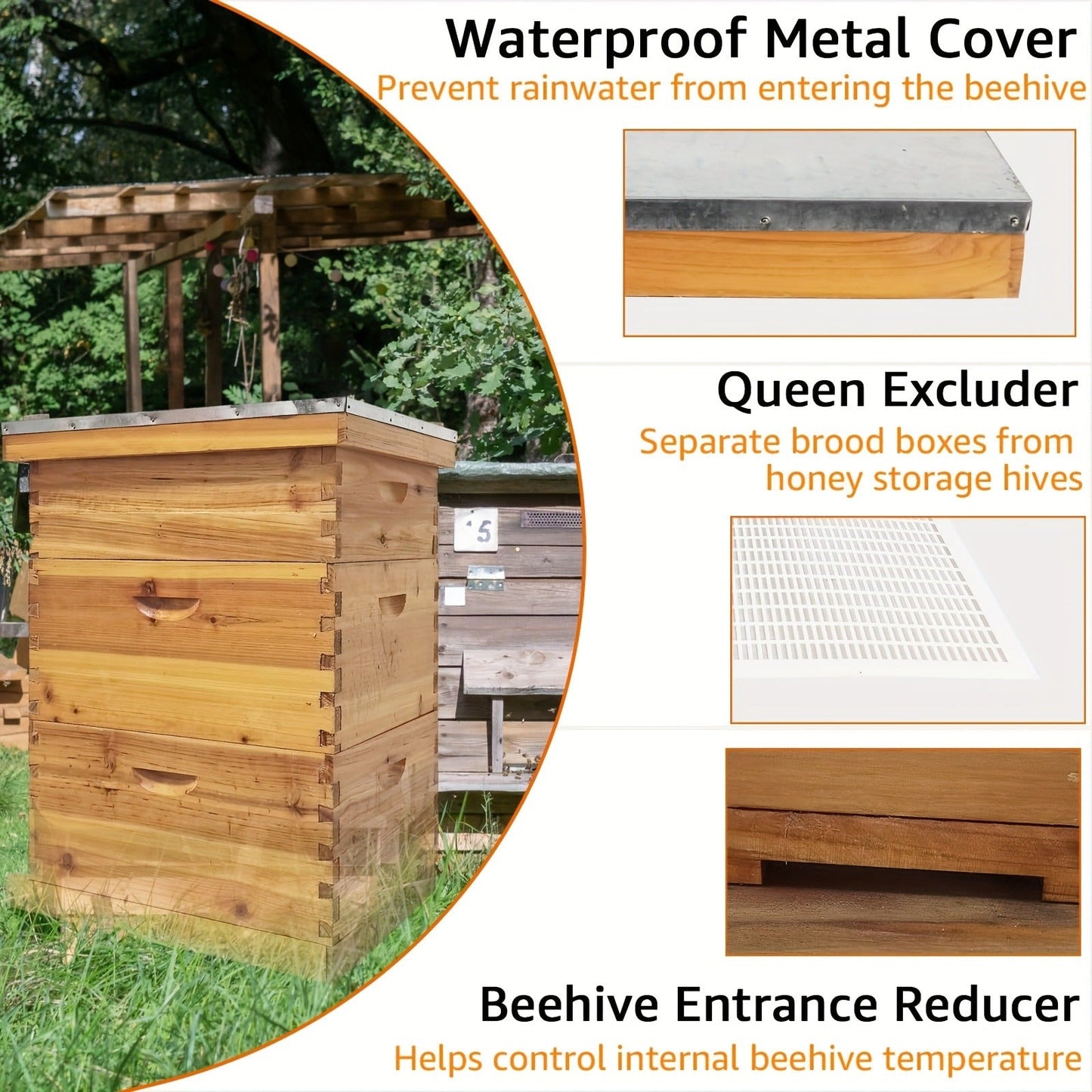 Langstroth Beehive Kit 3 Layer Beeswax Coated 2 Deep Boxes & 1 Medium Super — No Frames