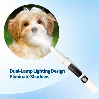 USB-Rechargeable Pet Dental Cleaning Tool with Four Interchangeable Heads, Five Modes and Dual-Lamp Illumination