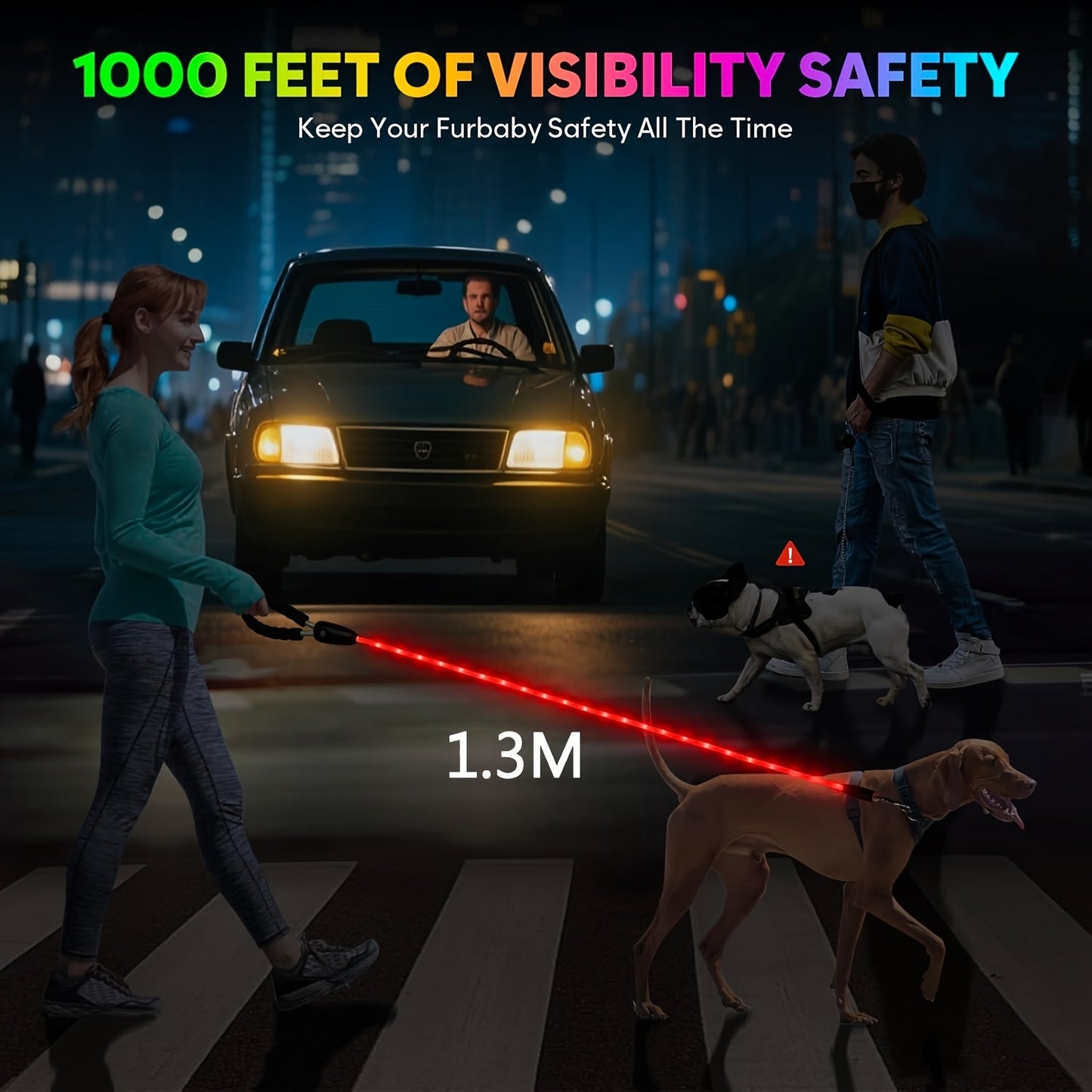 LED Dog Leash Light Up 4FT Rechargeable with 7 Lighting Modes, Glow in the Dark Reflective Double-Sided Lighted Dog Leash