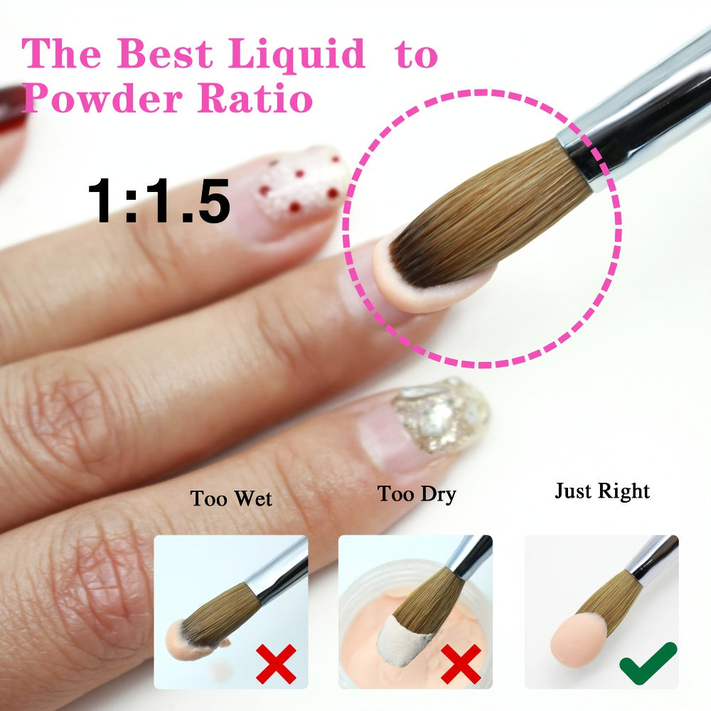 Kolinsky Acrylic Nail Brush Set 100% Pure Kolinsky Hair Flat Shape Sizes #10 #12 #14 – Professional Nail Art Sculpting Extension Brush