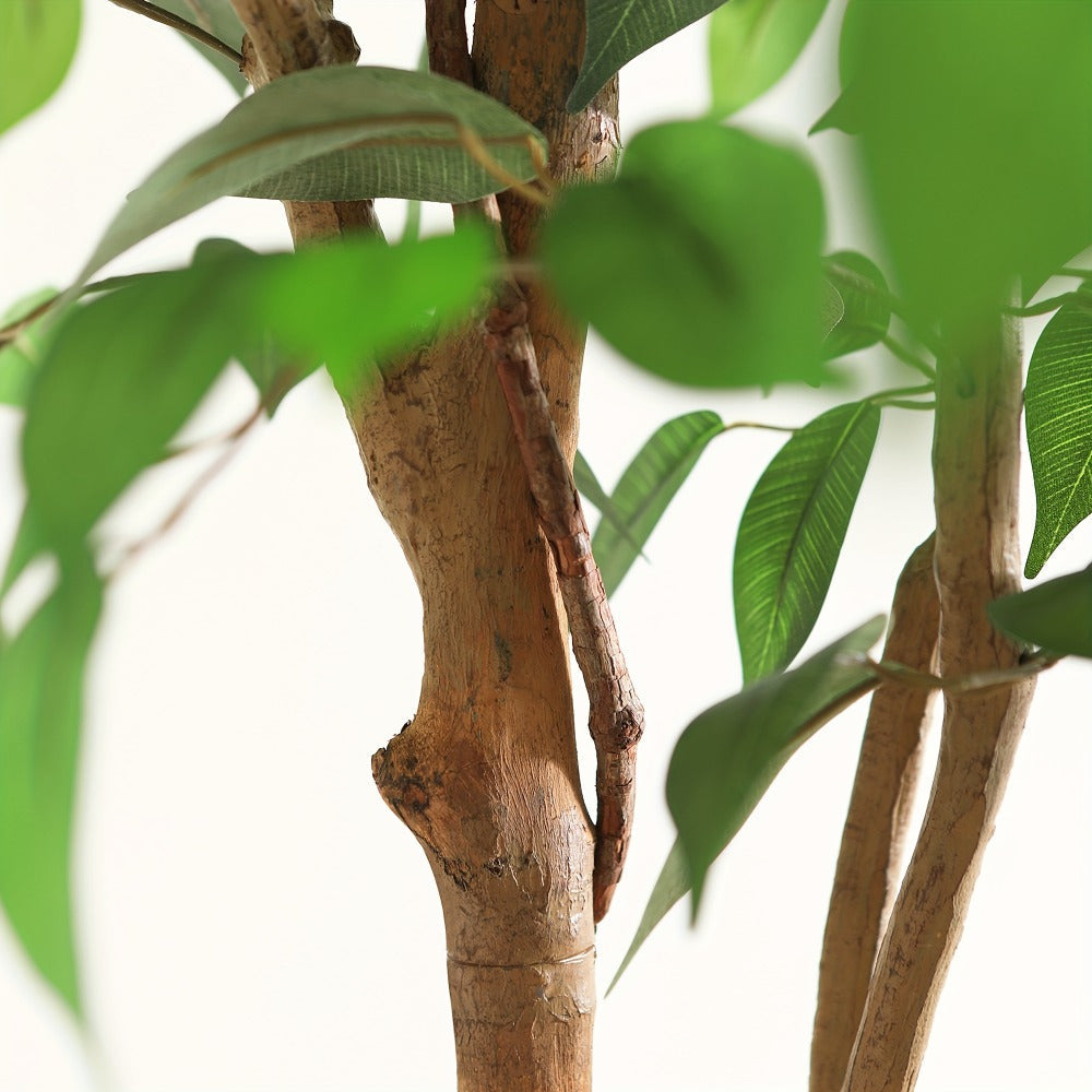 Artificial Ficus Tree with Braided Trunk, Full Green Canopy, Black Pot and 4, 5 or 6 ft Height Options