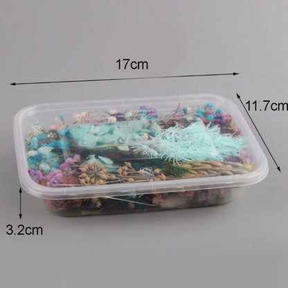 Four-Box Mixed Dried Flower Set with Assorted Colors and Small Botanical Pieces for Craft Decoration