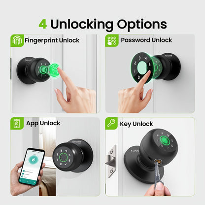 Smart Door Lock GHome K10 K10 PRO K20 and KD03 PRO Knob Models with Three or Four Access Methods