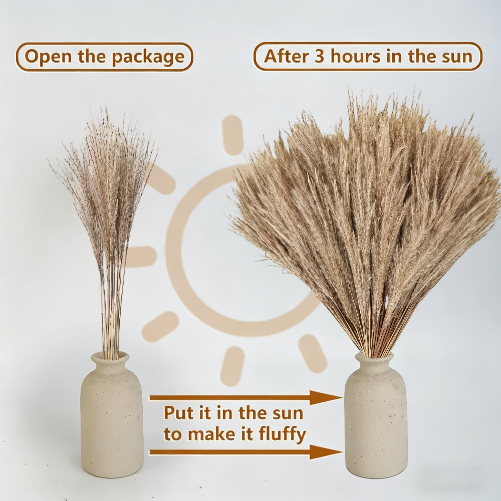 Dried Pampas Grass Decor Bouquet – Natural Fluffy Pampas Stems for Boho Wedding Centerpiece, Living Room Vase Filler, Nursery & Home Decor